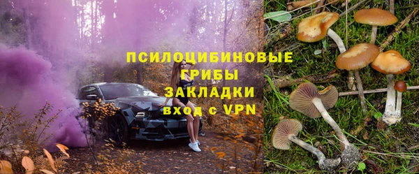 мдпв Долгопрудный