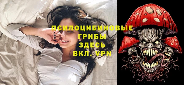 ALPHA PVP Медногорск
