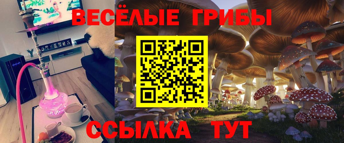 Братск  наркота  Вход с VPN  Галлюциногенные грибы Magic Shrooms 