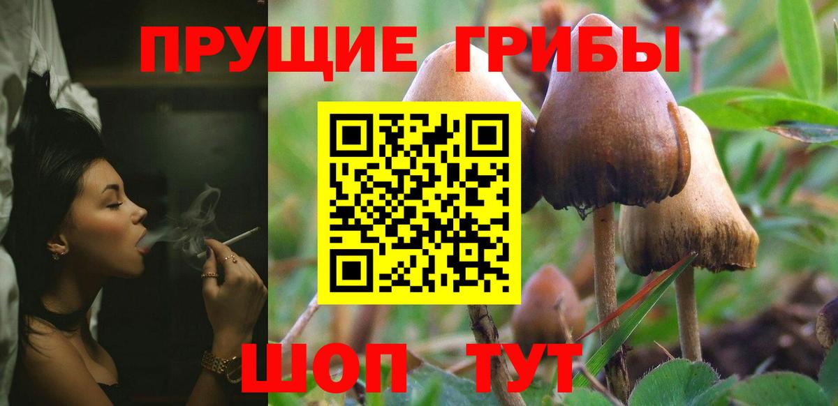 Псилоцибиновые грибы MAGIC MUSHROOMS  Псилоцибиновые грибы мицелий  Братск 