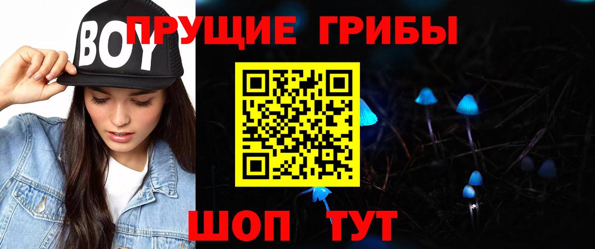 Псилоцибиновые грибы Psilocybine cubensis Братск